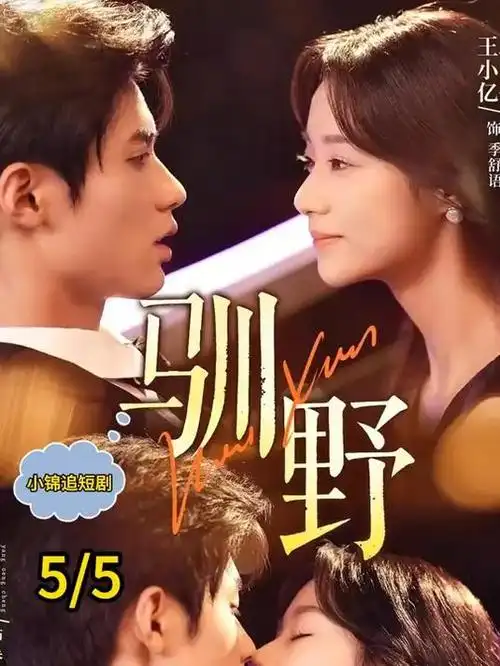 纪实短片《瓦檐下的风》的老屋檐与穿堂风封面